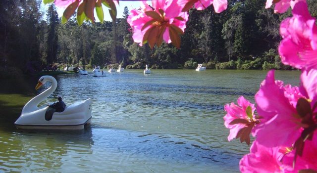 Gramado e Canela