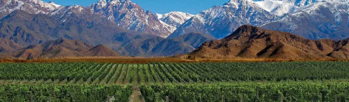 MENDOZA & CORDILHEIRA DOS ANDES – Feriado de Corpus Christi