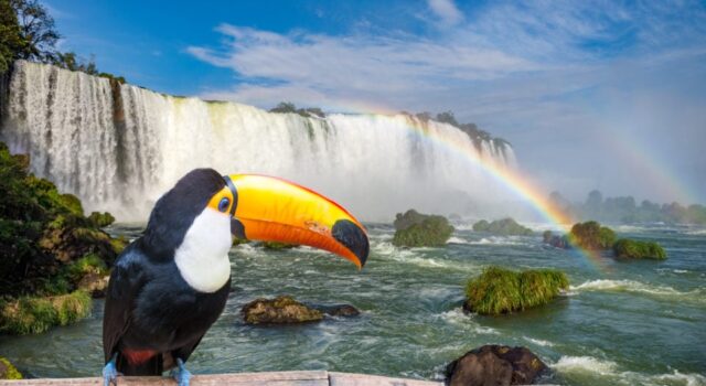 Foz do Iguaçu – Férias de Julho