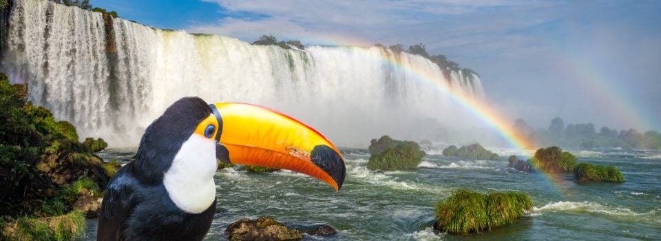 Foz do Iguaçu – Férias de Julho